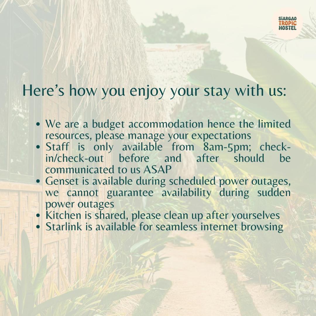 Siargao Tropic Hostel 제너럴 루나 외부 사진